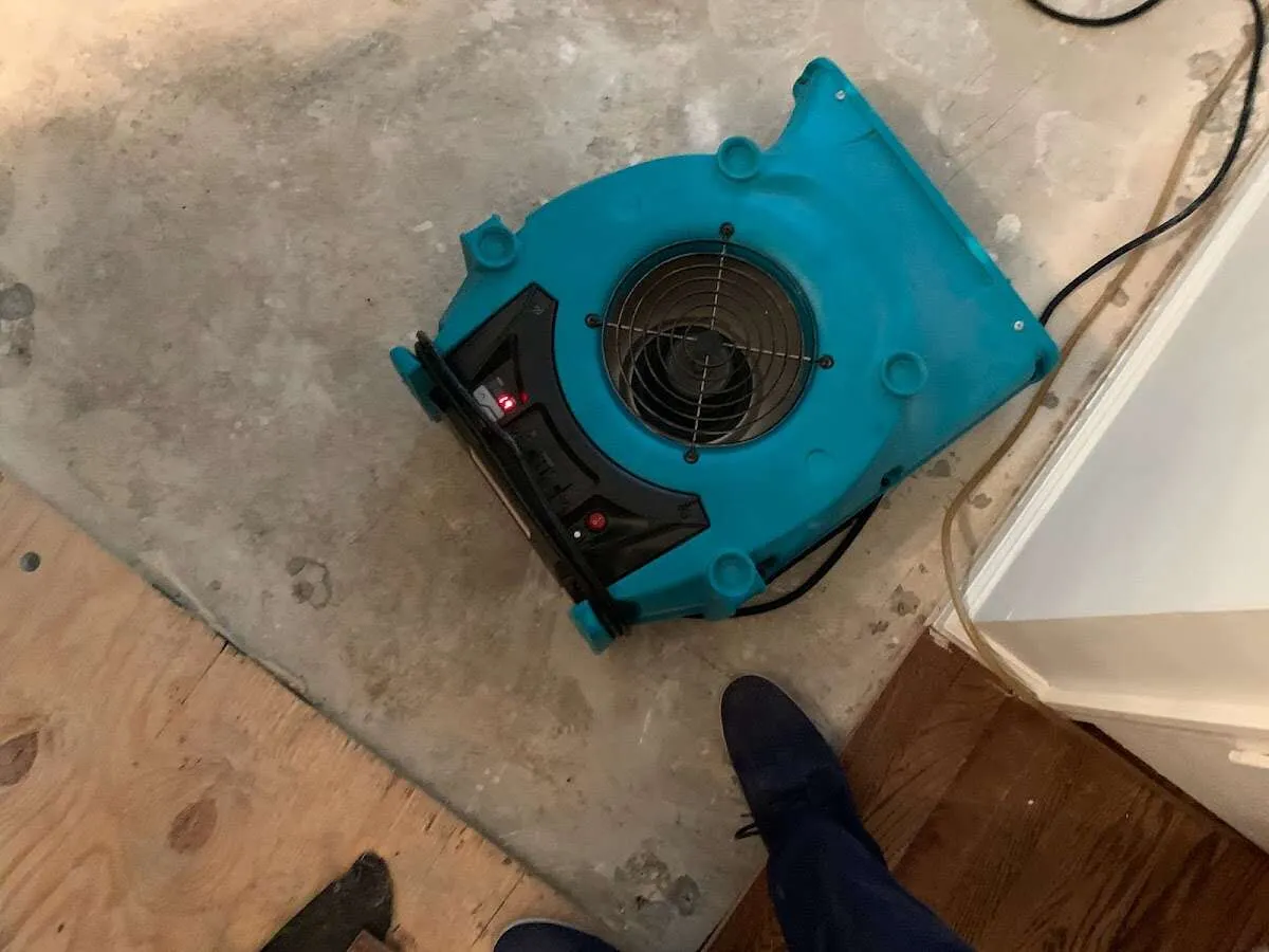 Air mover drying subfloor during Commercial Water Damage Restoration in West Haven-Sylvan